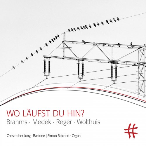 Simon Reichert, Christopher Jung - Wo läufst du hin?: Brahms, Medek, Reger & Wolthuis (2019) [Hi-Res]