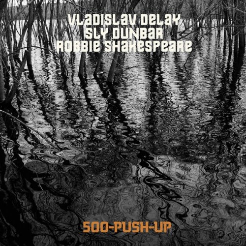 Vladislav Delay Meets Sly & Robbie 500 - Push Up (2020)