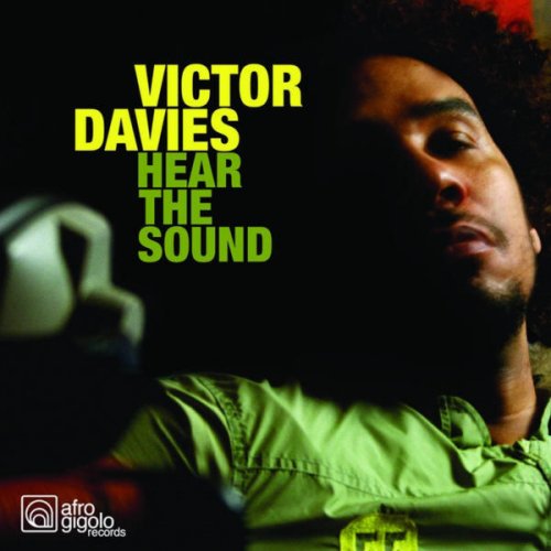 Victor Davies - Hear The Sound (2006) flac