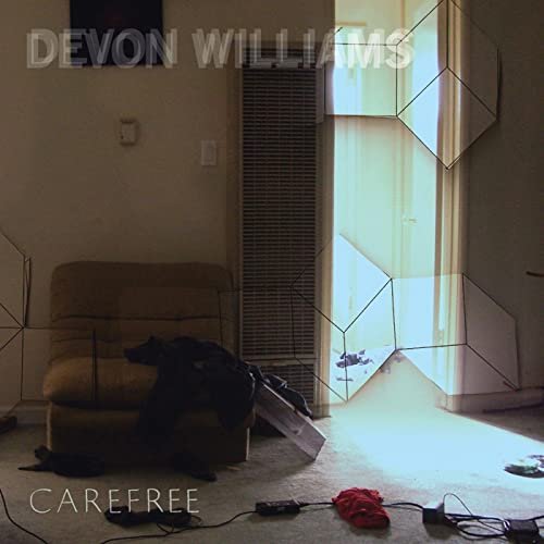 Devon Williams - Carefree (2008)
