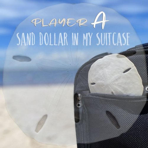 Player A - Sand Dollar in My Suitcase (2020)