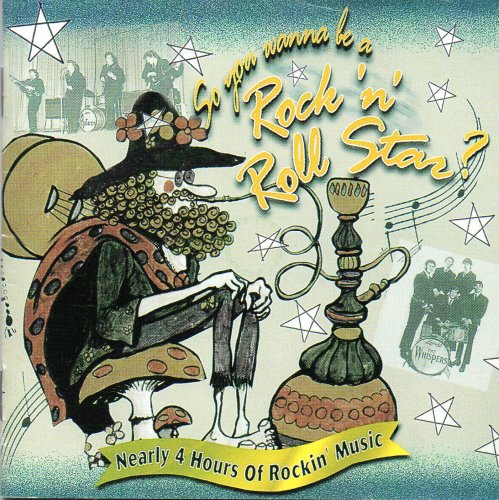VA - So You Wanna Be A Rock 'N' Roll Star? (1998)