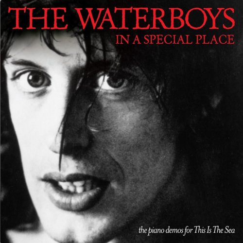 The Waterboys - In a Special Place: The Piano Demos for This Is the Sea (2011) [flac]