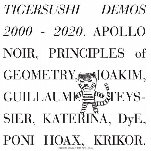 VA - TIGERSUSHI DEMOS 2000-2020 (2020)