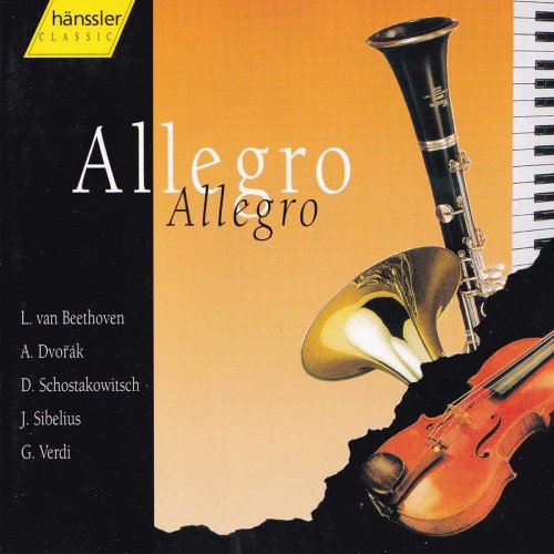 Various Artists - Allegro: Classical Highlights (2020)