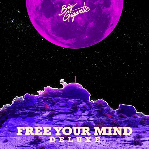 Big Gigantic - Free Your Mind (Deluxe Version) (2020)