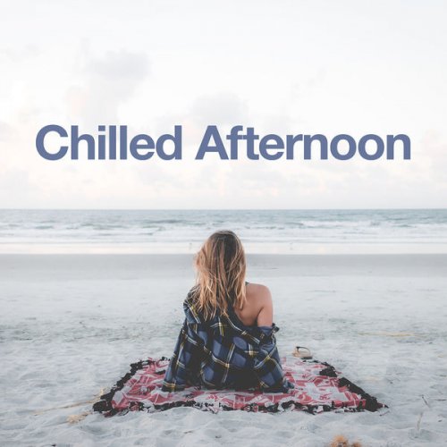 VA - Chilled Afternoon (2020)