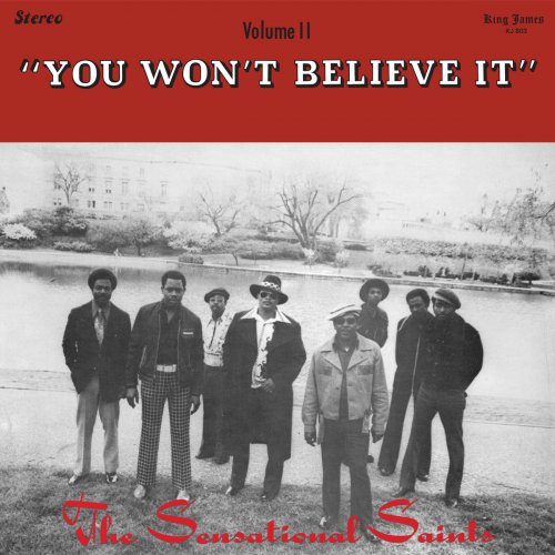 Sensational Saints - You Won't Believe it (2014)