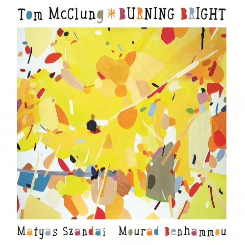 Tom McClung Trio - Burning Bright (2015) [Hi-Res]