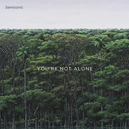 Semisonic - You're Not Alone (2020)