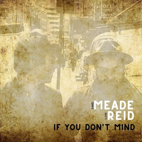 Daniel Meade & Lloyd Reid - If You Don't Mind (2020)