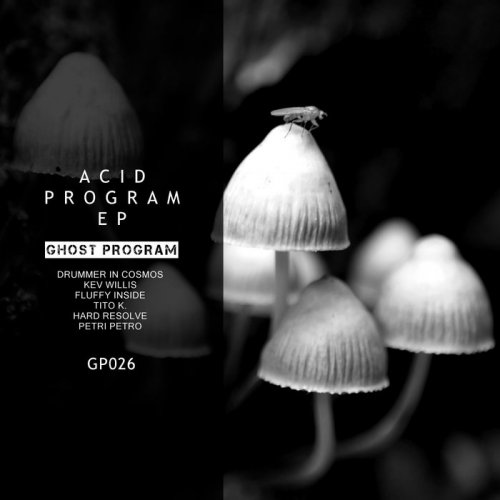 VA - Acid Pogram (2020)