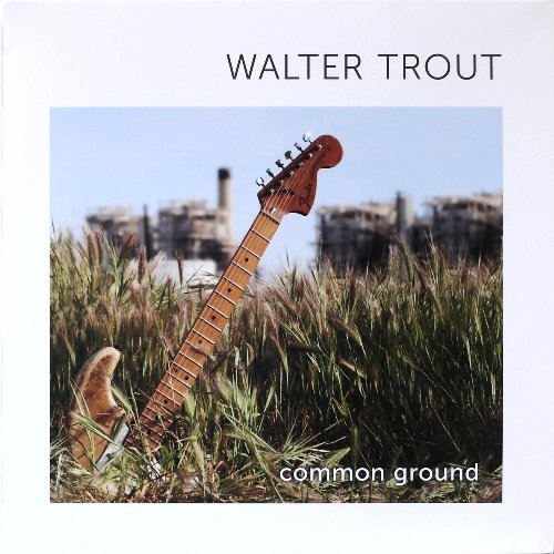 Walter Trout - Common Ground (2010) [Vinyl]