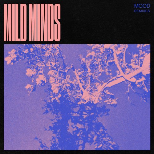 Mild Minds - MOOD (Remixes) (2020)