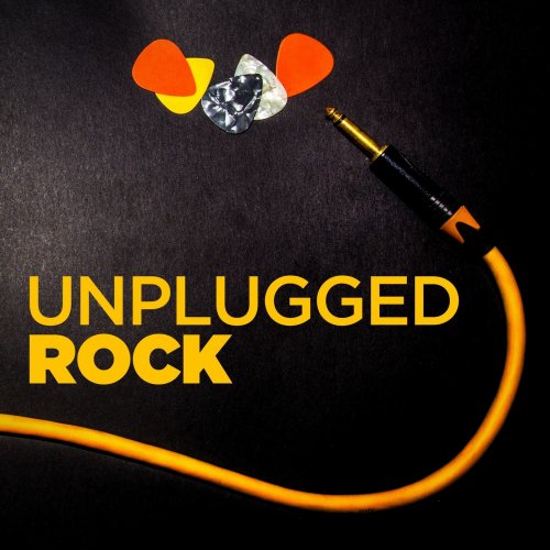 VA - Unplugged Rock (2018) flac