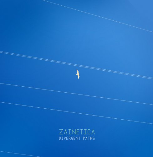 Zainetica - Divergent Paths (2020)