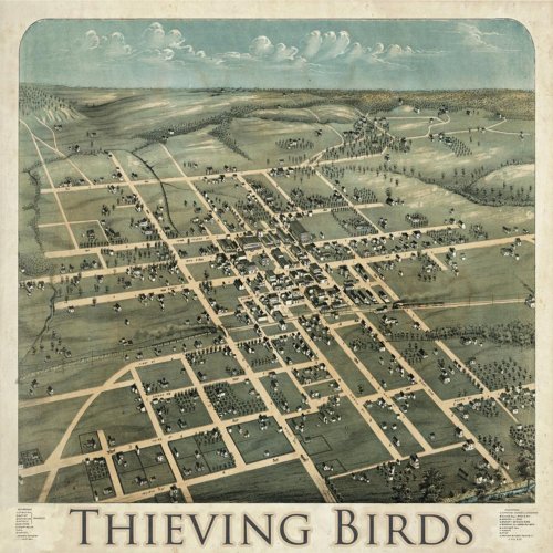 Thieving Birds - Thieving Birds (2011)