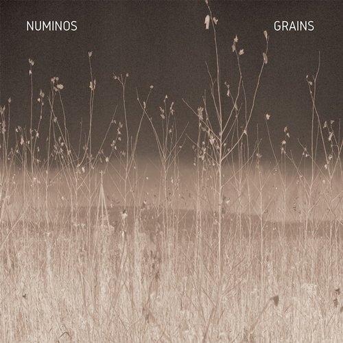 Numinos - Grain (2020)