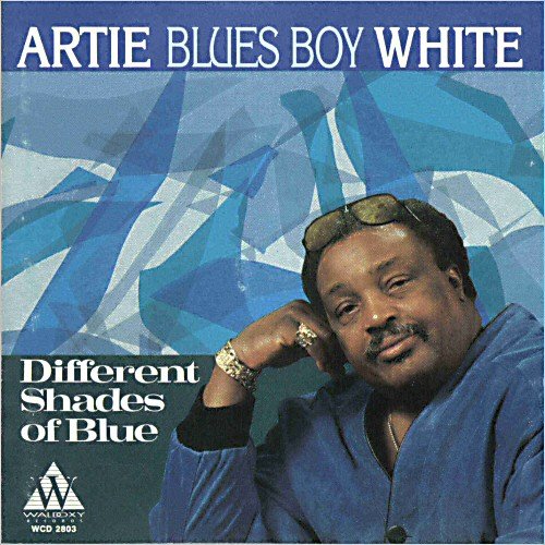 Artie 'Blues Boy' White - Different Shades Of Blue (1994) [CD Rip]