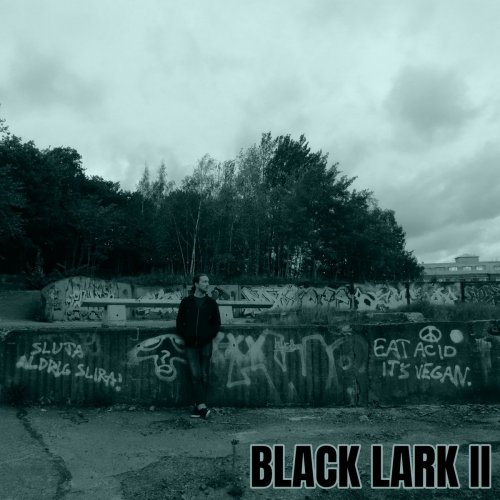 Black Lark - Black Lark II (2020)