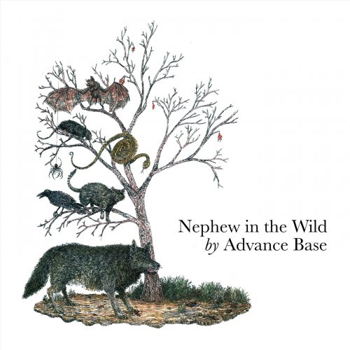 Advance Base - Nephew in the Wild (Deluxe Edition) (2015)
