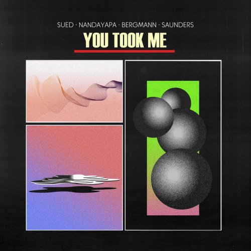 Sued Nandayapa Bergmann Saunders - You Took Me (2020)