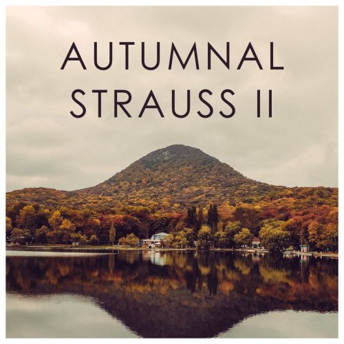 VA - Autumnal Strauss II (2020)