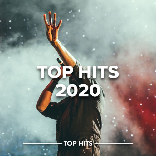 VA - Top Hits 2020 (2020) flac