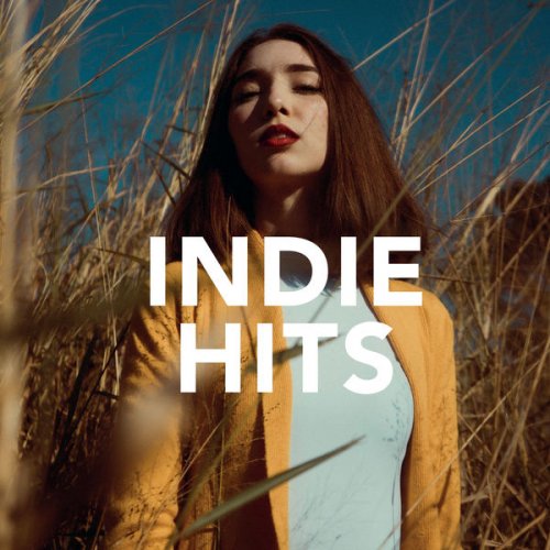 VA - Indie Hits (2020) flac