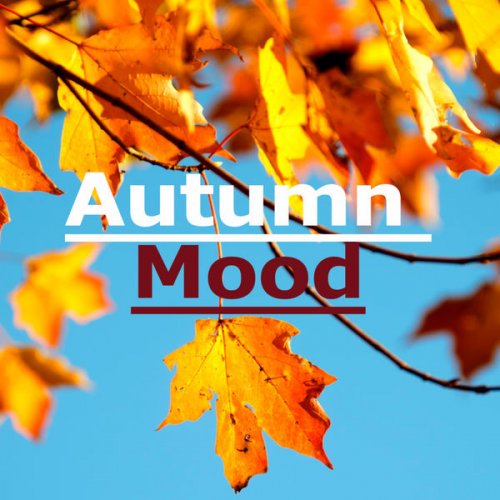 VA - Autumn Mood (2020) flac