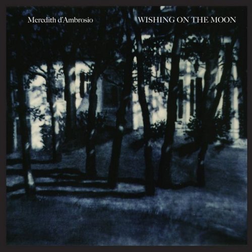 Meredith d'Ambrosio - Wishing On The Moon (2006) flac