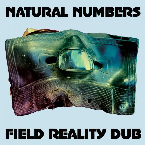 Natural Numbers - Field Reality Dub (2015)