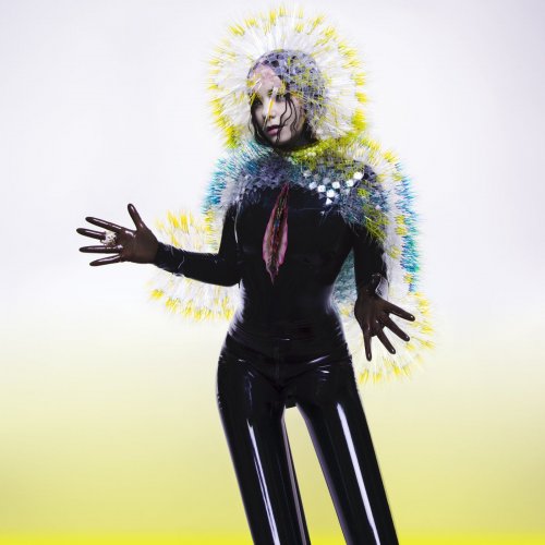Björk - Vulnicura (2015) [Hi-Res]