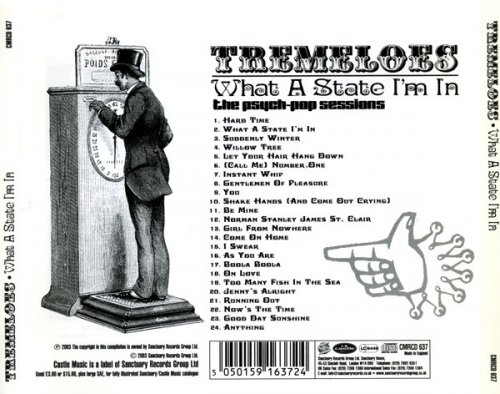 The Tremeloes - What a State I'm In: The Psych-Pop Sessions (Remastered) (2003)