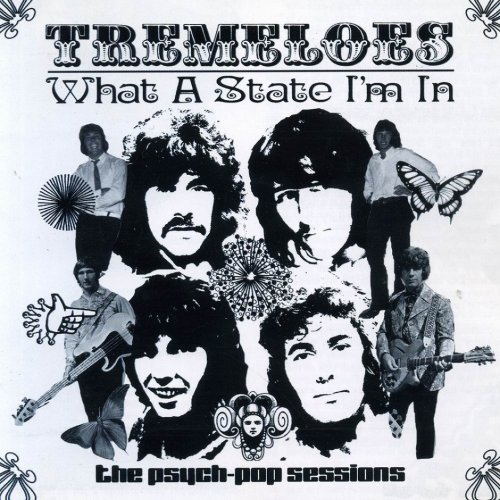 The Tremeloes - What a State I'm In: The Psych-Pop Sessions (Remastered) (2003)