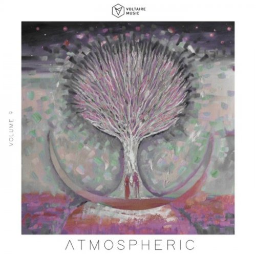 VA - Voltaire Music Pres. Atmospheric, Vol. 9 (2020)