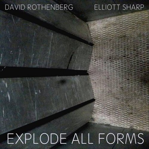 David Rothenberg - Explode All Forms (2020)