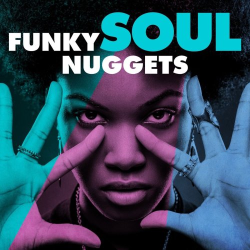 VA - Funky Soul Nuggets (2019)