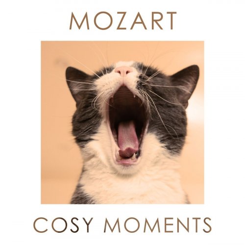 VA - Mozart Cosy Moments (2020)