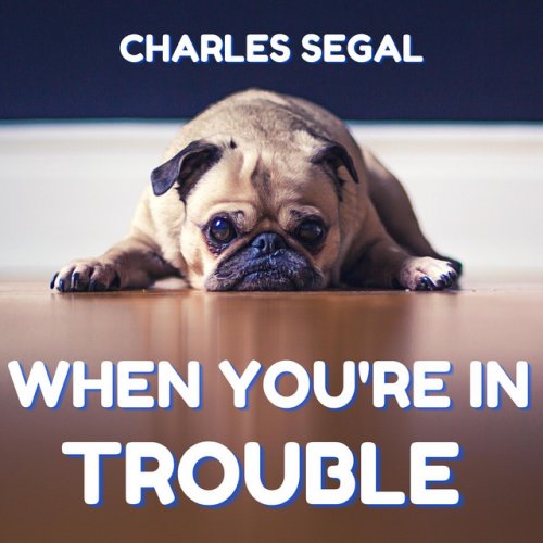 Charles Segal - When You're in Trouble (2020)