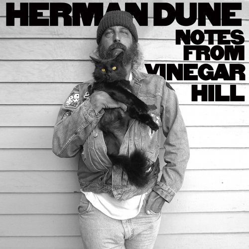 Herman Düne - Notes from Vinegar Hill (2020) [Hi-Res]