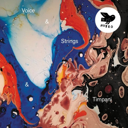 Strings & Timpani - Voice & Strings & Timpani (2020) Hi-Res