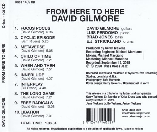 David Gilmore - From Here to Here (2020) CD-Rip
