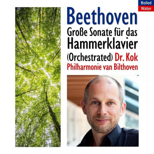 Dr. Kok - Beethoven: Große Sonate für das Hammerklavier (Orchestrated) (2020)