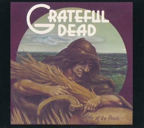 Grateful Dead - Beyond Description 1973-1989 (2004) CD-Rip