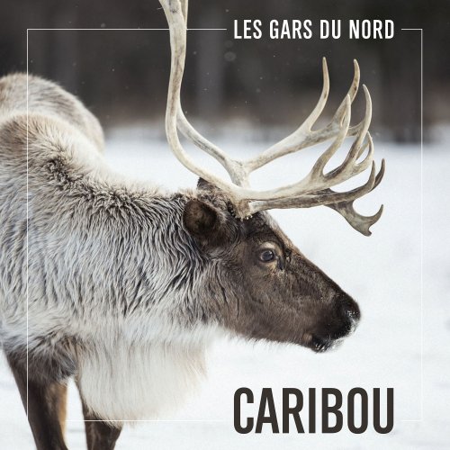 Les Gars du Nord - Caribou (2020)