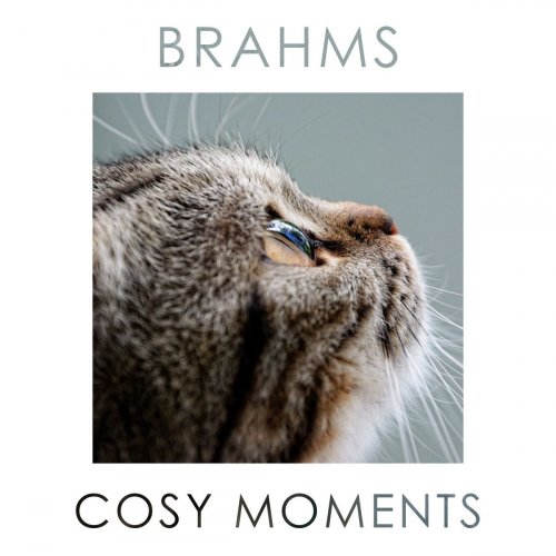 VA - Brahms Cosy Moments (2020)