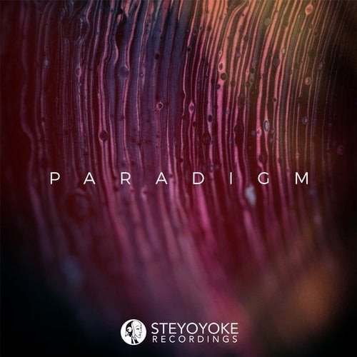 VA - Steyoyoke Paradigm Vol. 08 (2020)