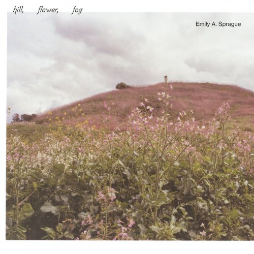 Emily A. Sprague - Hill, Flower, Fog (2020) [Hi-Res]