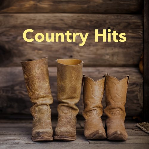 VA - Country Hits (2020) flac